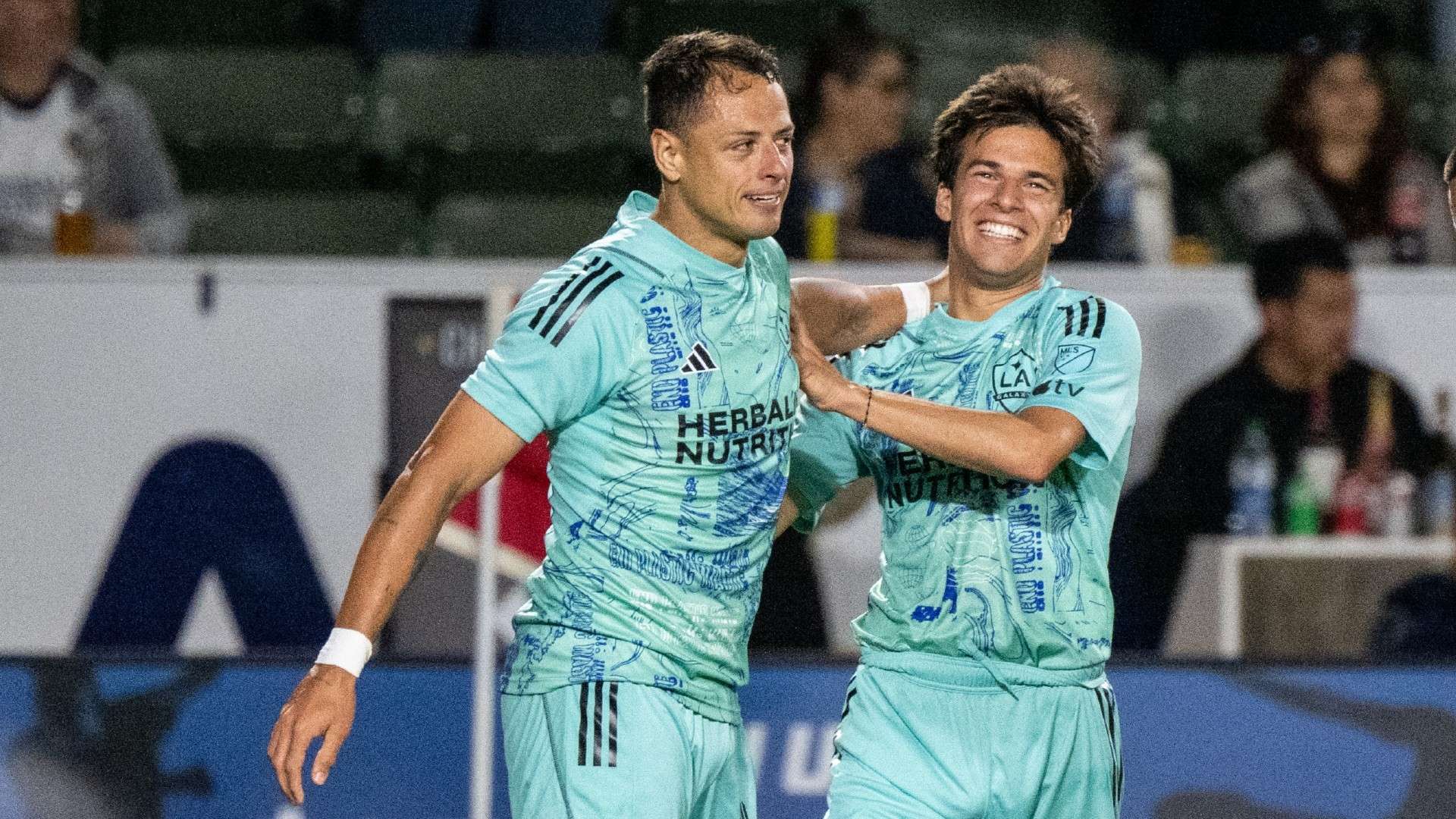 仅再次验证 仅再次验证