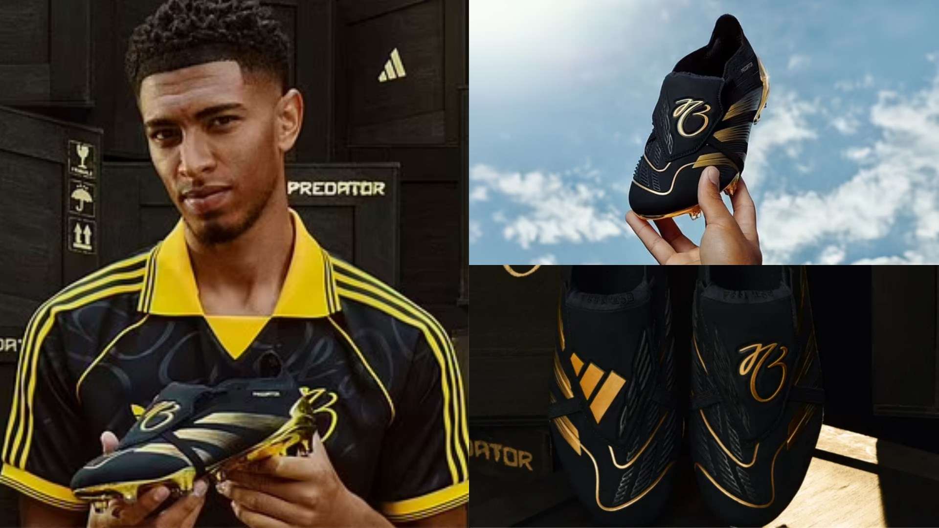 能力不容忽 能力不容忽